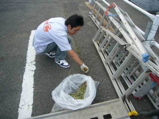 道具屋　草むしり